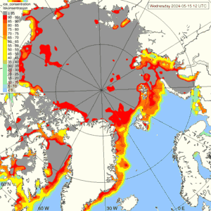 Sea ice yesterday - Satellite observation