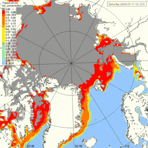 Sea ice yesterday - Model prediction